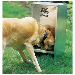 DOG FEEDER CHOW HOUND 11KG