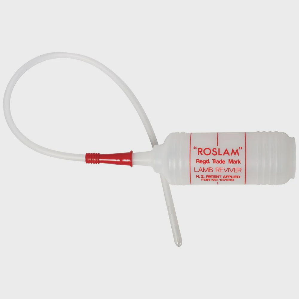 LAMB REVIVER ROSLAM