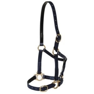HALTER HORSE COB BLUE