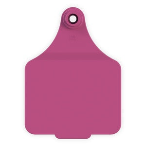 TAG MAXI FEMALE PINK LEADER