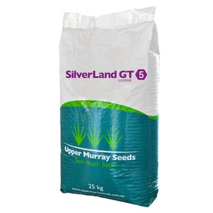LUCERNE SILVERLAND GT 5 S/C KG (25)