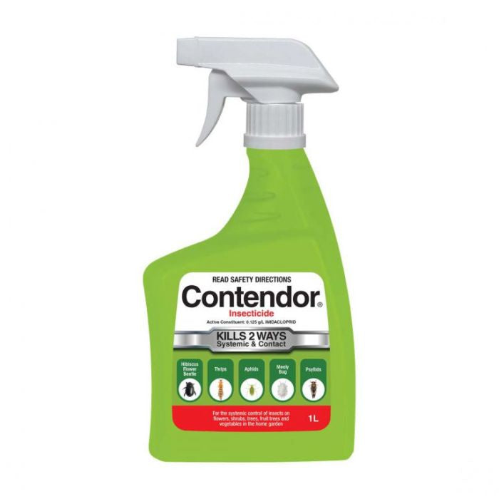 CONTENDER 1LT (CONFIDOR)