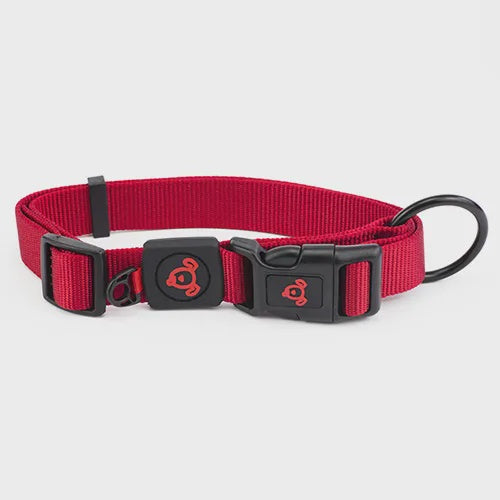 DOG COLLAR NYLON D/RING PREM LGR RED