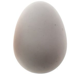 BROOD EGGS RUBBER WHITE