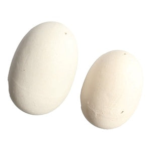 BROOD EGGS PAINTED
