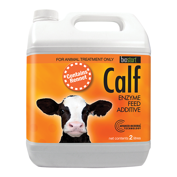 CALF 2LT