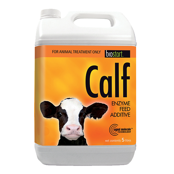 CALF 5LT