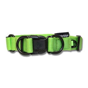 DOG COLLAR NYLON DOUBLE RING PREM XL GREEN