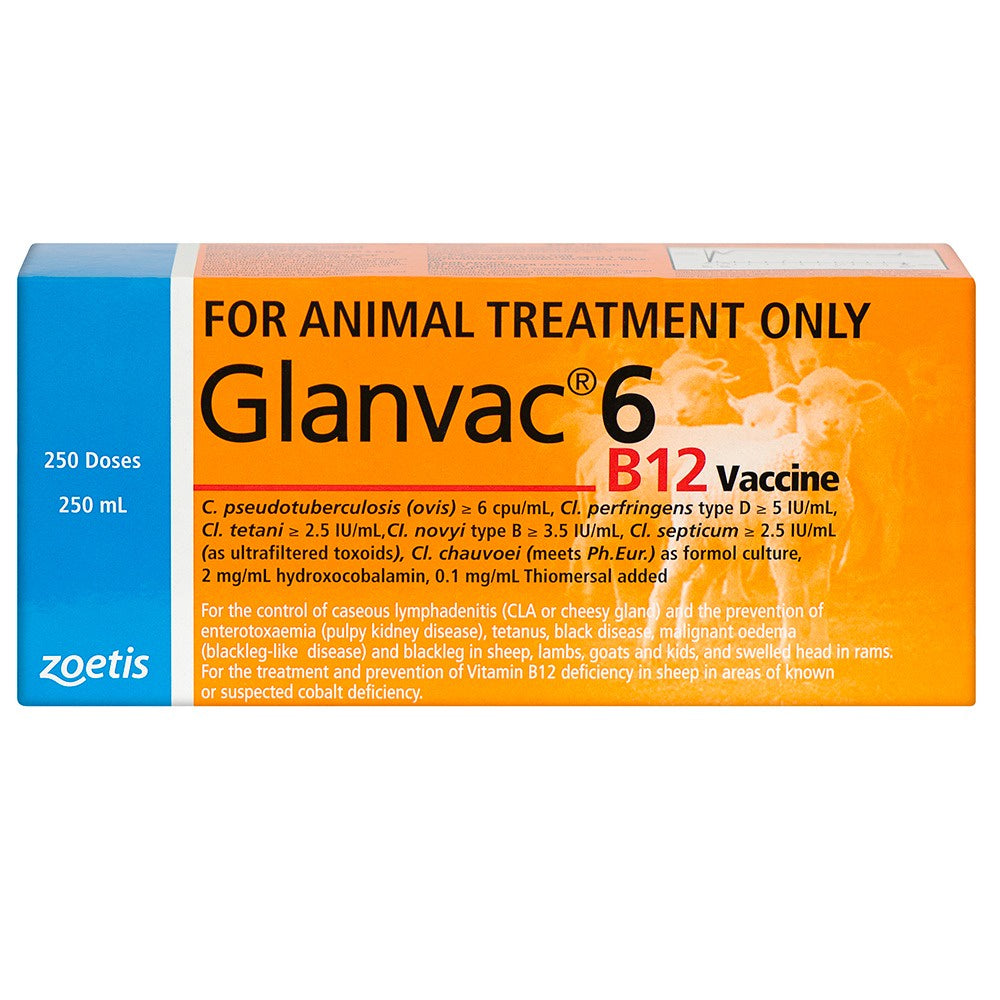 GLANVAC 6 250ML