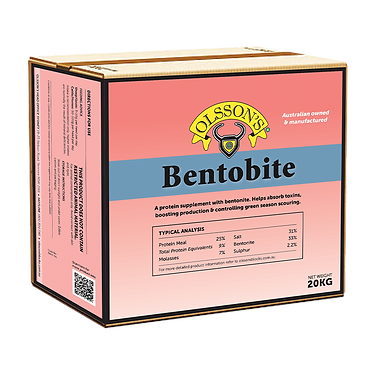 BENTOBITE 20KG