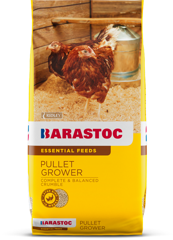PULLET GROWER 20KG