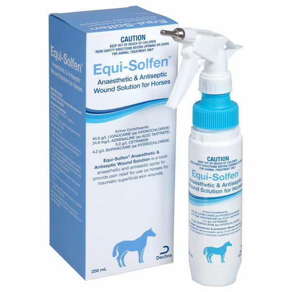 EQUI-SOLFEN 250ML DECHRA