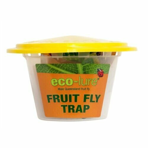 ECO LURE FRUIT FLY TRAP
