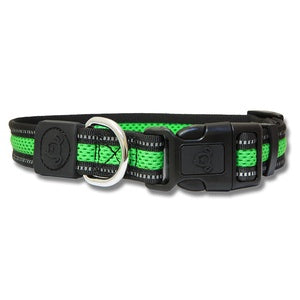 DOG COLLAR LARGE DBL LAYER RFL GREEN