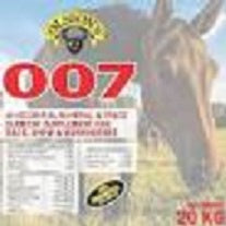 007 MINERAL HORSE BLOCKS 20KG