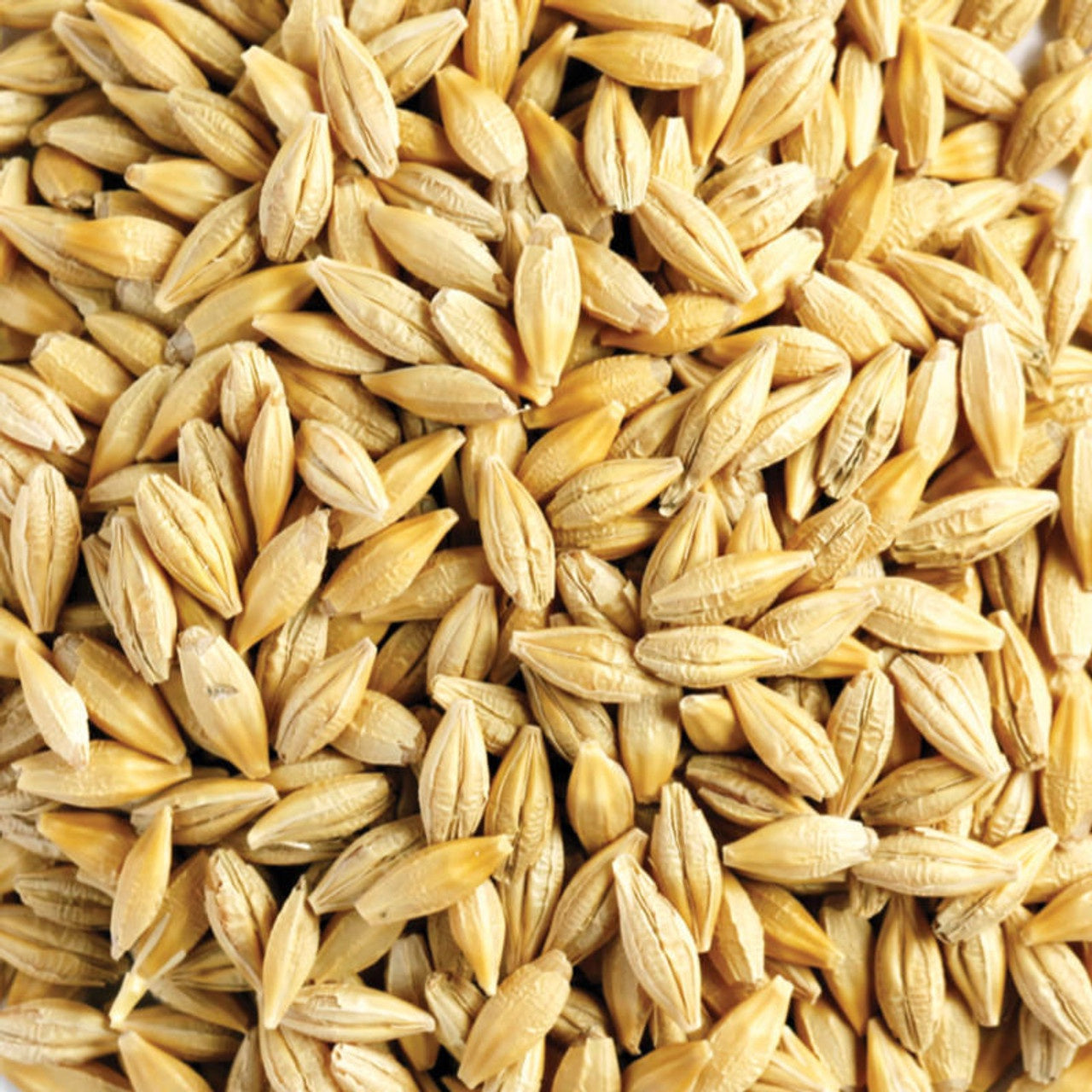 RIVERINA WHOLE BARLEY 20KG