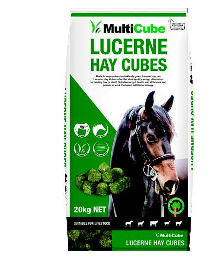 Hay Cubes - Lucerne