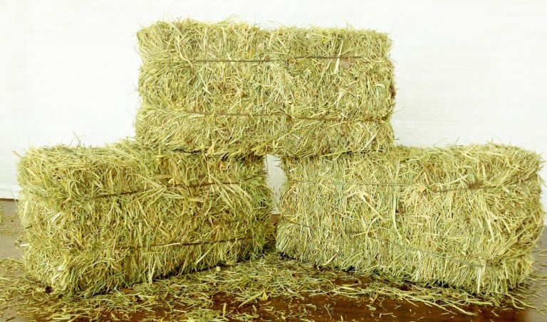 OATEN HAY SMALL SQ
