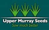 Hardy Lawn Blend with 5% Kikuyu