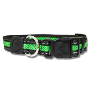 DOG COLLAR MED DBL LATER RFL 35-51CM GR