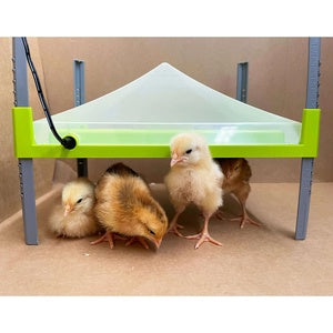COVER CHICK HEATING PLATE 23X30.5CM BAINBRIDGE
