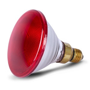 INFRARED HEAT LAMP BULB RED 100W BAINBRIDGE