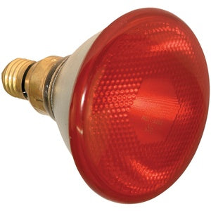 SHOO LAMP INFRARED KERBL RED 100W