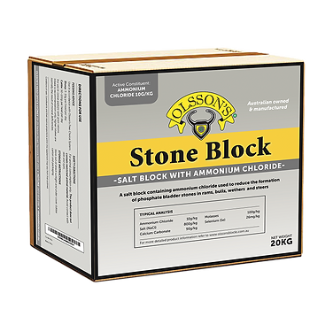 STONE BLOCK 20KG OLSSON